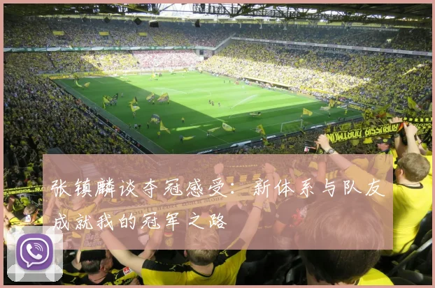 张镇麟谈夺冠感受：新体系与队友成就我的冠军之路